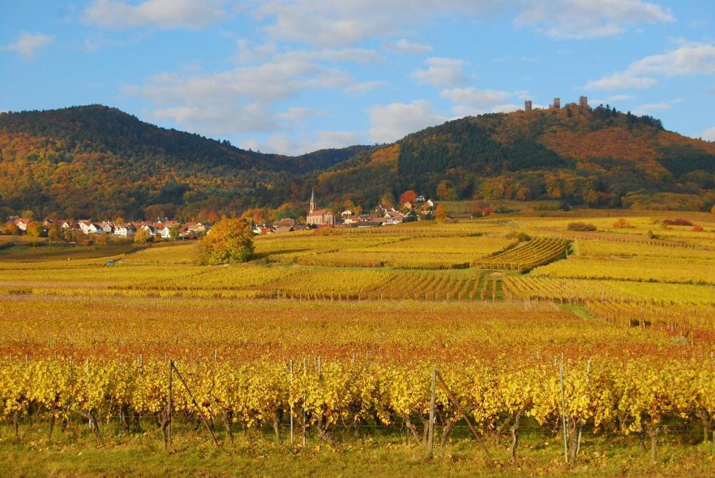 Chambres D'Hotes Gilles Schneider Husseren-les-Chateaux ภายนอก รูปภาพ